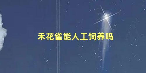 禾花雀能人工饲养吗