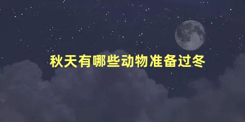 秋天有哪些动物准备过冬