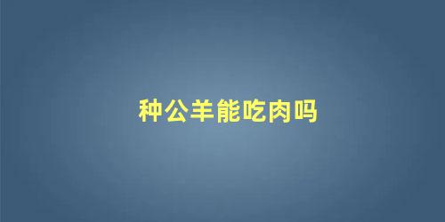 种公羊能吃肉吗