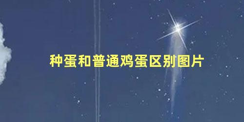 种蛋和普通鸡蛋区别图片