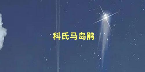科氏马岛鹃