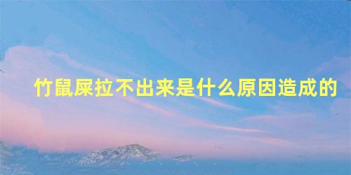 竹鼠屎拉不出来是什么原因造成的