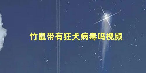 竹鼠带有狂犬病毒吗视频