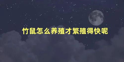 竹鼠怎么养殖才繁殖得快呢