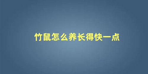 竹鼠怎么养长得快一点