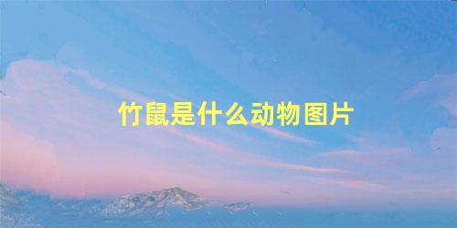 竹鼠是什么动物图片