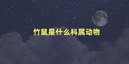 竹鼠是什么科属动物
