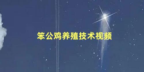 笨公鸡养殖技术视频