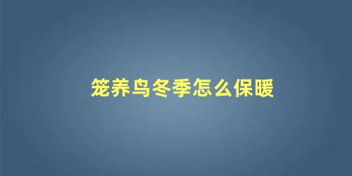 笼养鸟冬季怎么保暖