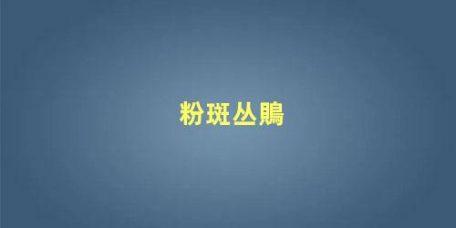 粉斑丛鵙