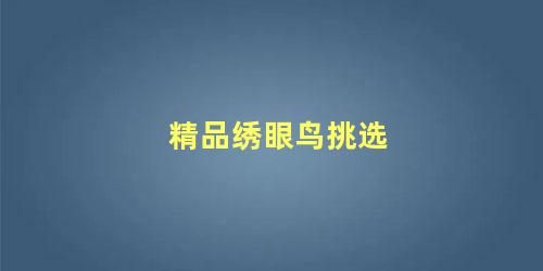 精品绣眼鸟挑选