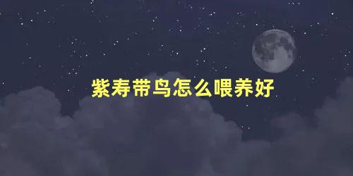 紫寿带鸟怎么喂养好