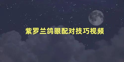 紫罗兰鸽眼配对技巧视频