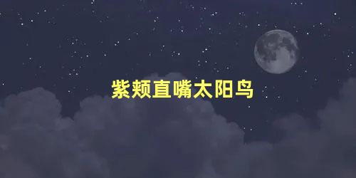 紫颊直嘴太阳鸟