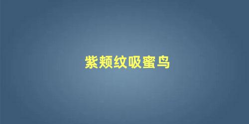 紫颊纹吸蜜鸟