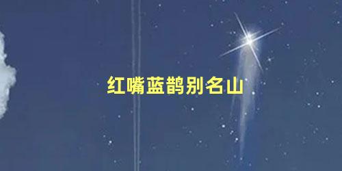 红嘴蓝鹊别名山