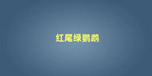 红尾绿鹦鹉