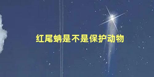 红尾蚺是不是保护动物