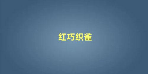 红巧织雀