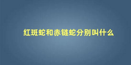 红斑蛇和赤链蛇分别叫什么