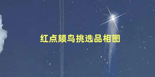 红点颏鸟挑选品相图