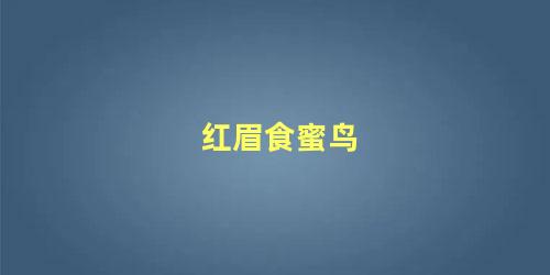 红眉食蜜鸟