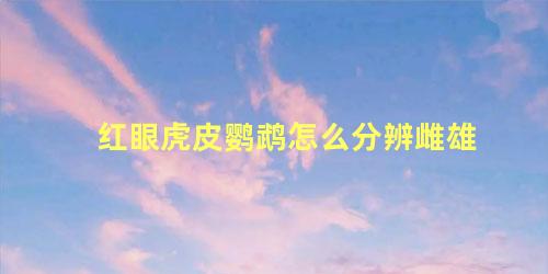 红眼虎皮鹦鹉怎么分辨雌雄