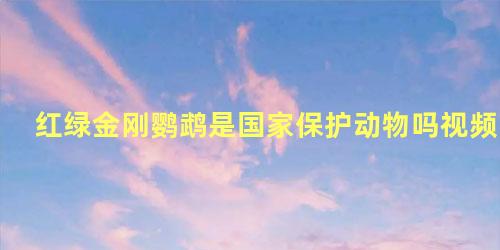 红绿金刚鹦鹉是国家保护动物吗视频