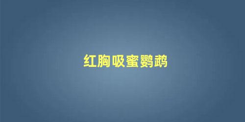 红胸吸蜜鹦鹉