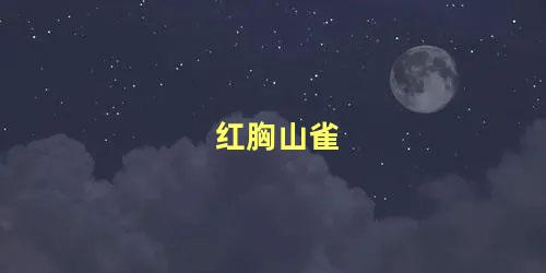 红胸山雀