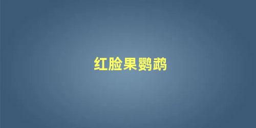 红脸果鹦鹉