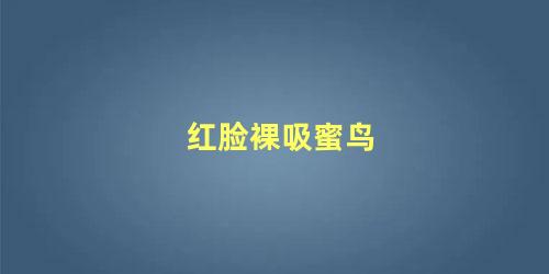 红脸裸吸蜜鸟