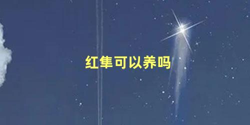 红隼可以养吗