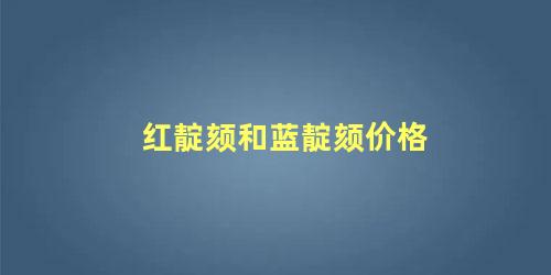 红靛颏和蓝靛颏价格