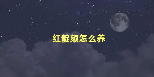 红靛颏怎么养