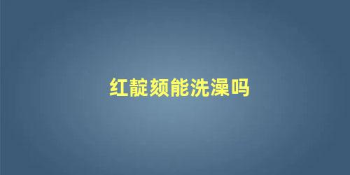 红靛颏能洗澡吗