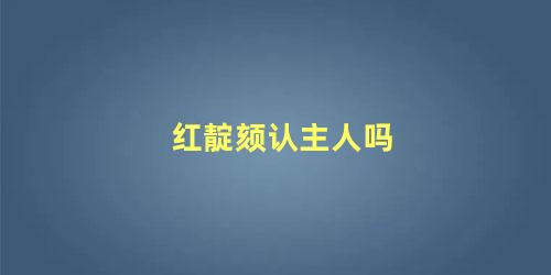 红靛颏认主人吗
