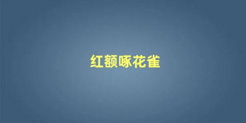红额啄花雀