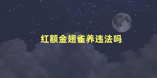 红额金翅雀养违法吗