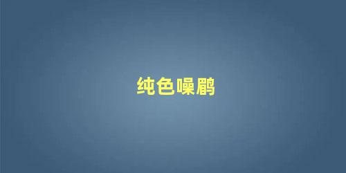 纯色噪鹛