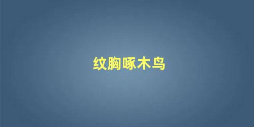 纹胸啄木鸟