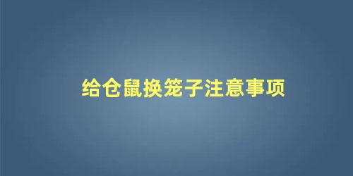 给仓鼠换笼子注意事项