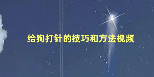 给狗打针的技巧和方法视频