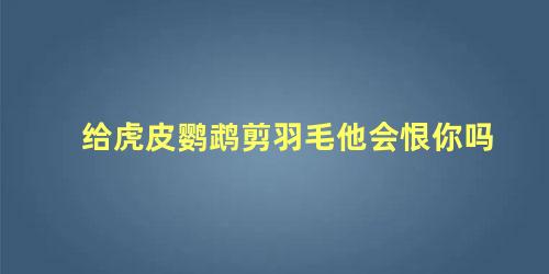 给虎皮鹦鹉剪羽毛他会恨你吗