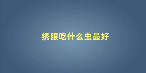 绣眼吃什么虫最好