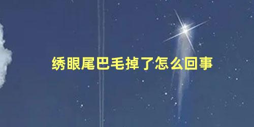 绣眼尾巴毛掉了怎么回事