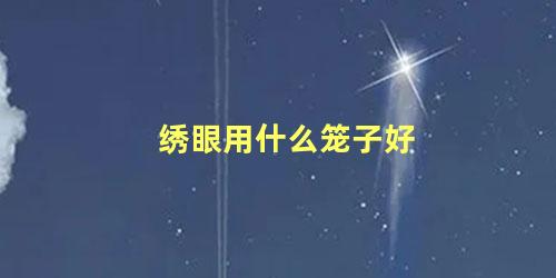 绣眼用什么笼子好