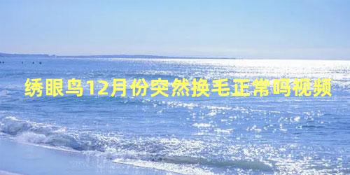 绣眼鸟12月份突然换毛正常吗视频