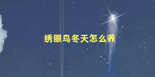 绣眼鸟冬天怎么养