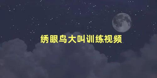 绣眼鸟大叫训练视频